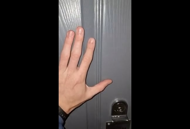 Video 1: