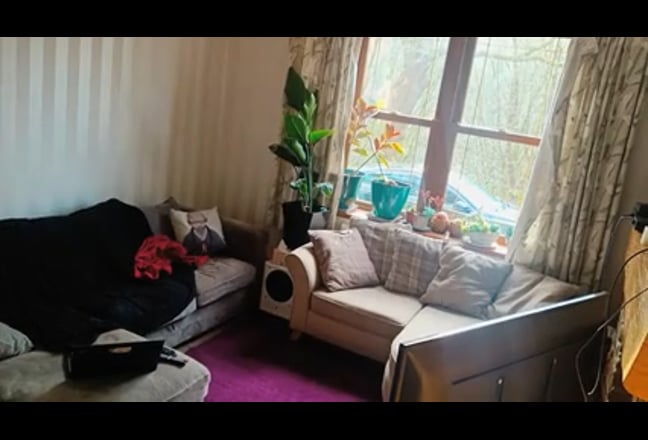 Looking for a chill, nature-loving housemate Main Photo