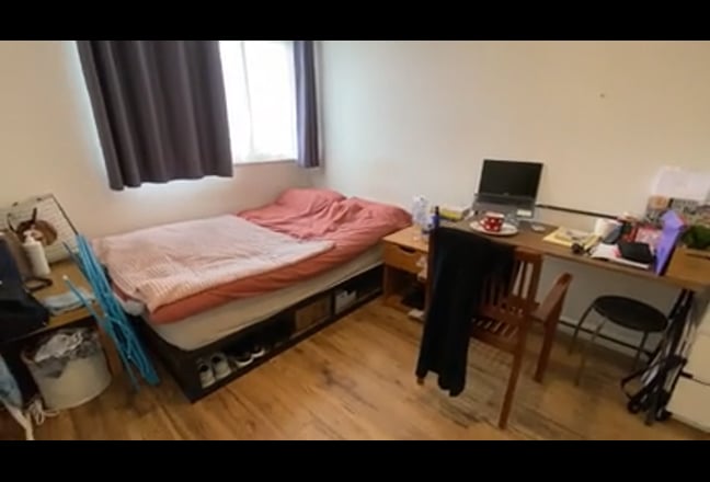 Spacious Double Room in Mile End (all bills inc) Main Photo