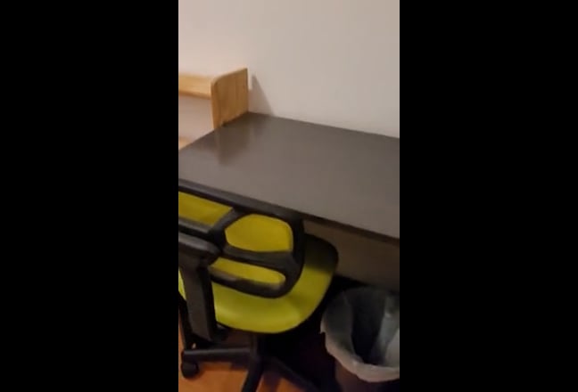 Video 1:
