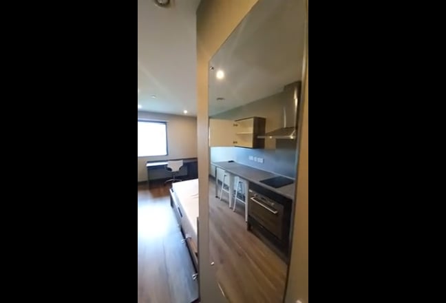 Video 1: Entrance view