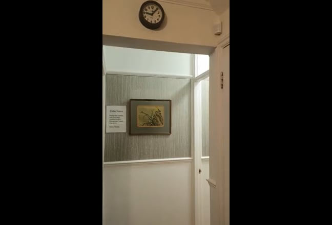 Luxury flat to rent Main Photo