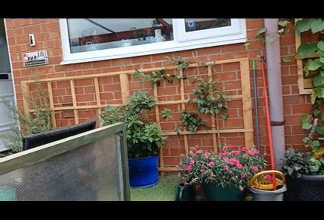Video 1: Lounge