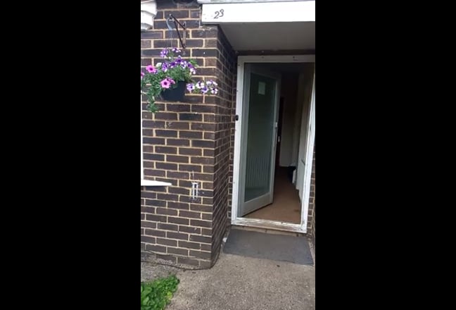 Friendly, sociable house for professional Main Photo