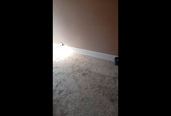 Video 1: Living Room