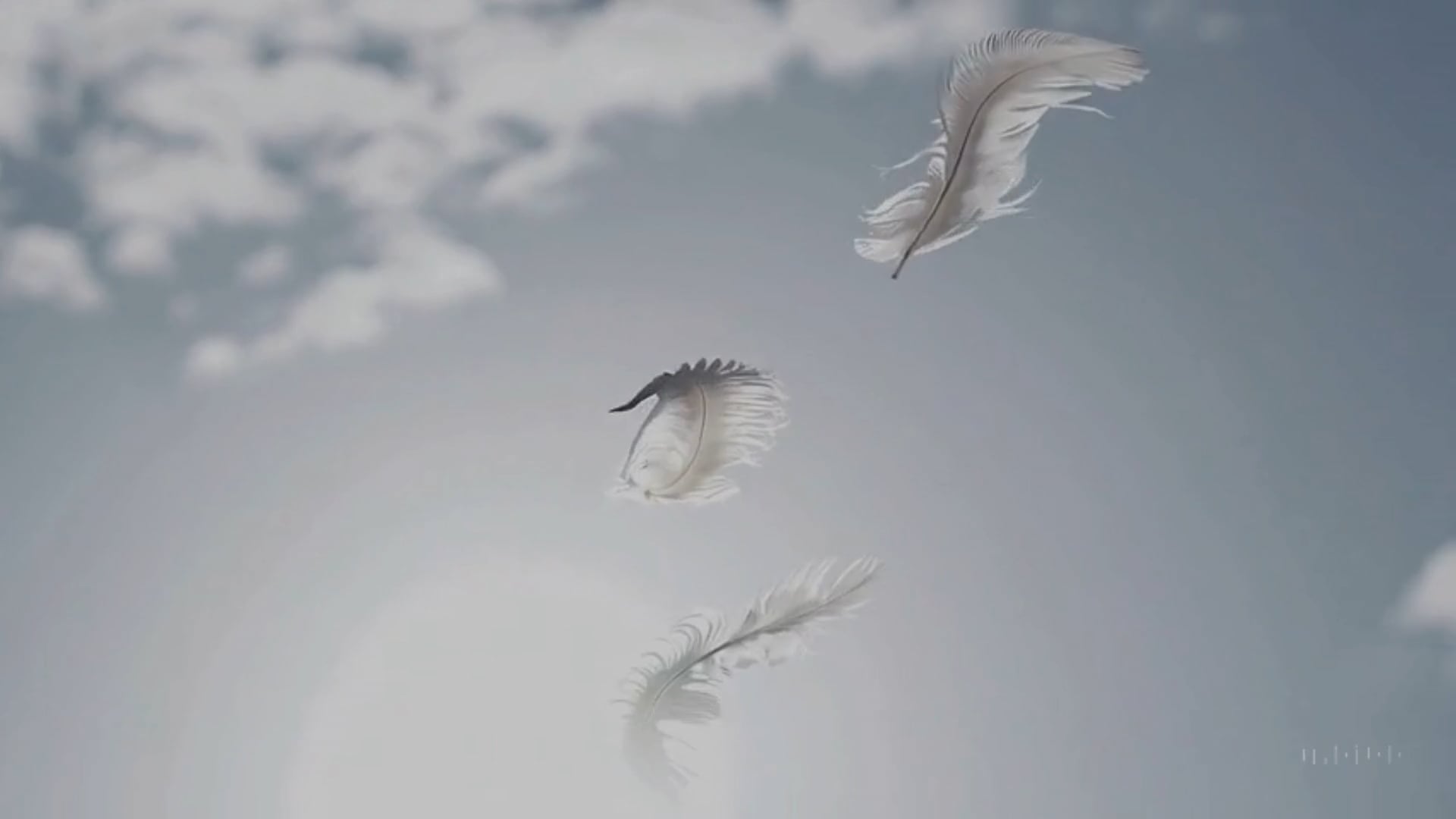 https://i.vimeocdn.com/video/1976660669-9db99c19106ff98afa497031ae928f111cdc09fc712e0e562e47bd6d1281166b-d