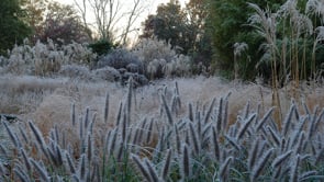 Neil Lucas - Keep up to date with Grasses