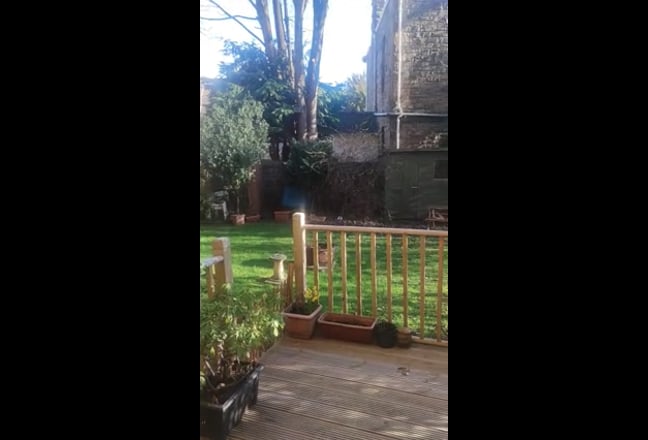 Looking for a new flatmate! Main Photo