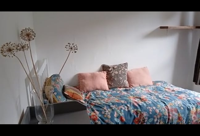 Video 1: 