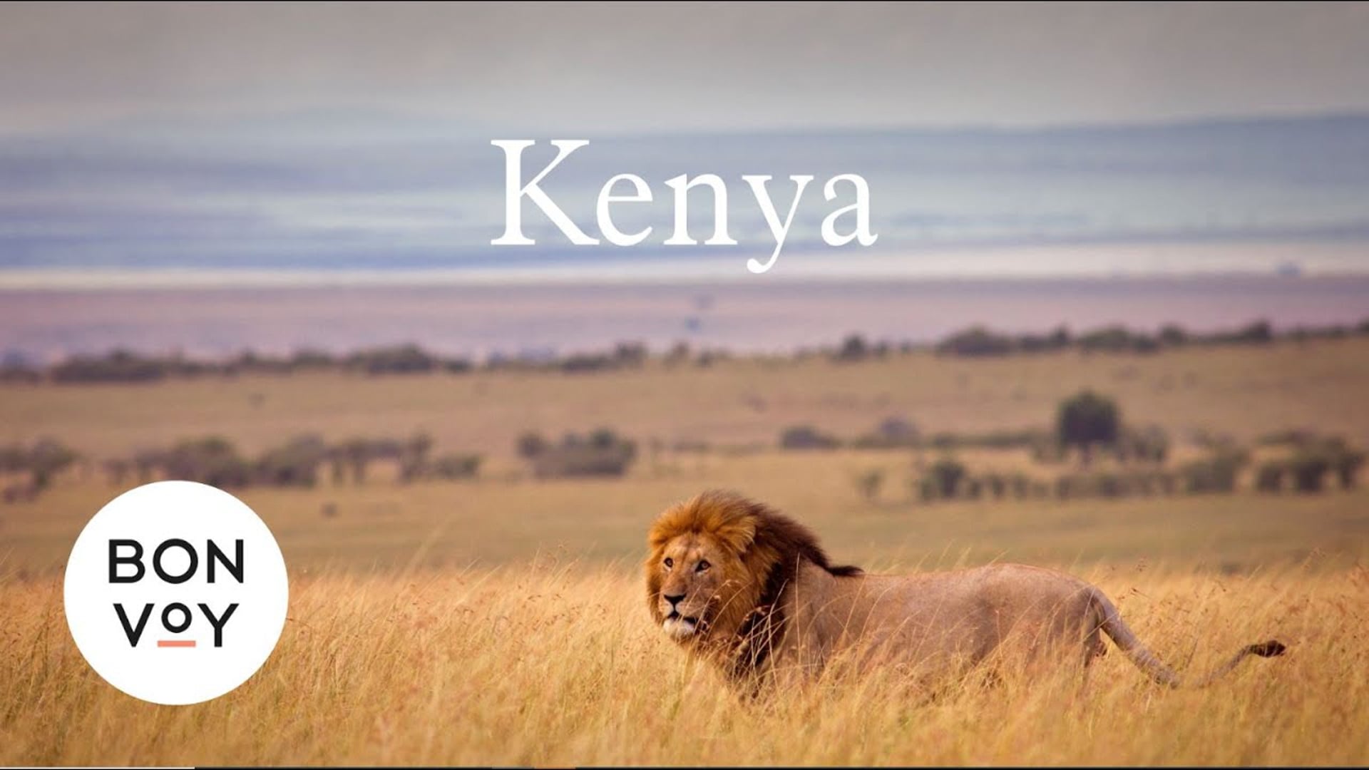 Marriott x Stepping Stone | Wildlife Wonders and Cultural Richness: Kenya