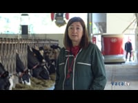 Dos Lely Astronaut A4 y un Lely Vector en Orvalat