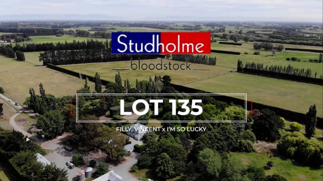 Lot 135