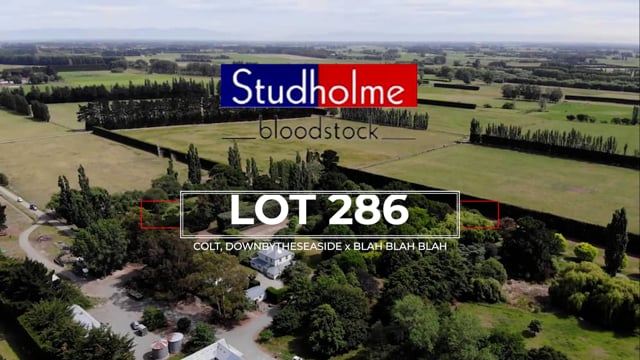 Lot 286