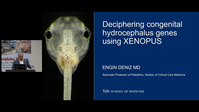 Deciphering congenital hydrocephalus genes using XENOPUS - Engin Deniz