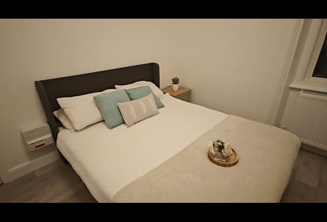 Video 1: