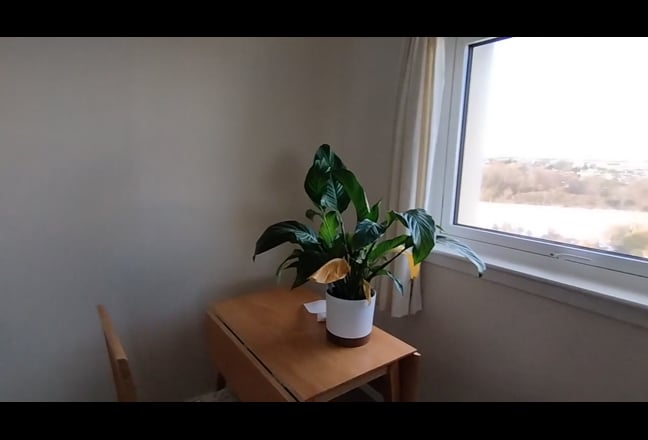 1 Room to rent in a 2bhk Main Photo