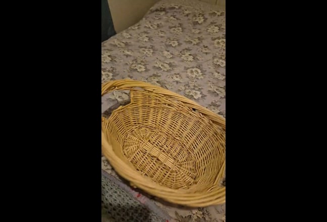 Video 1: Bedding supplied
