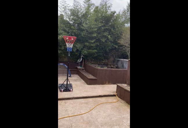 Video 1: