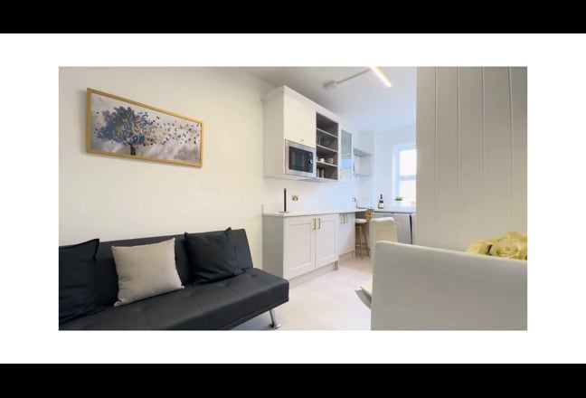 Unique huge room that converts into living space!✨ Main Photo