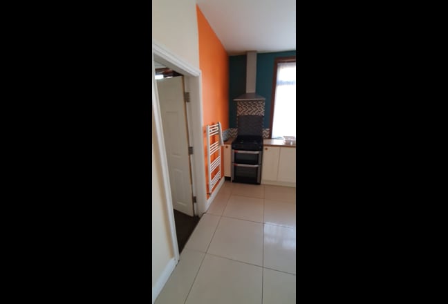 Video 1: front view