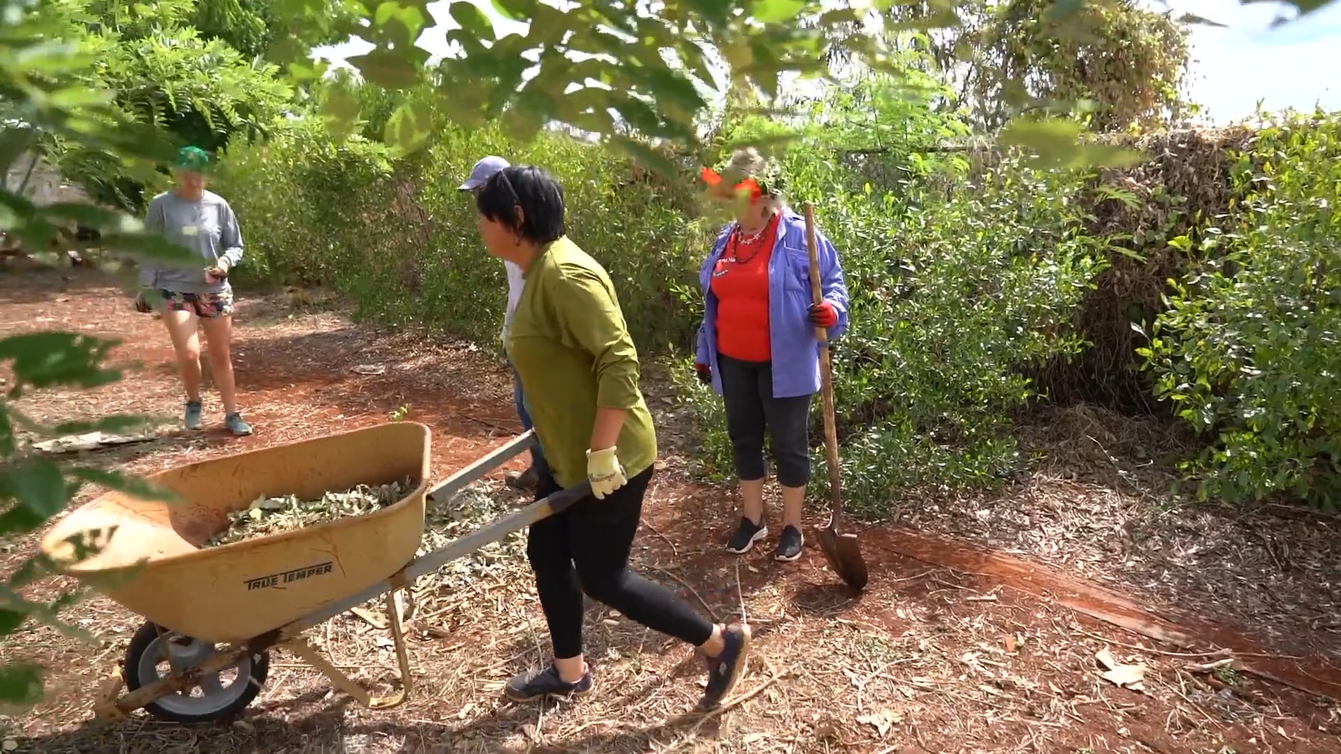 Building a Community Canopy at Awāwalei Food Forest
