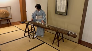 Martin Bailey Photography