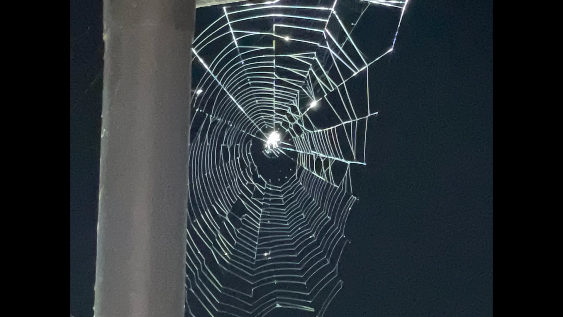 2025 January 15: Ground, Breathe, Calm, Settle, Soothe