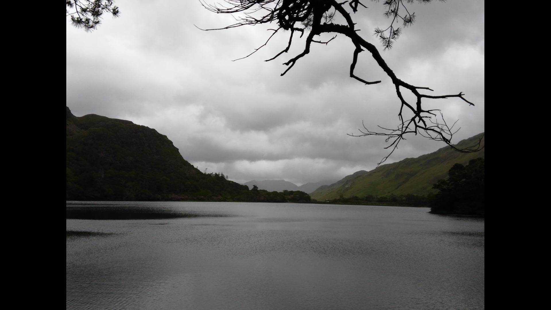 2025 January 22: Growing Arms That Can Calm & Soothe