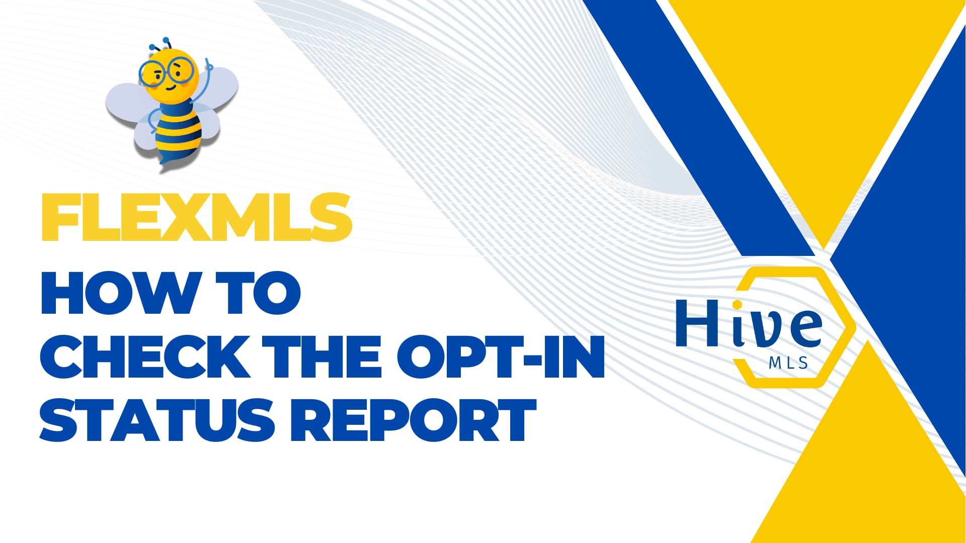 How to check the Opt-in Status Report