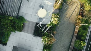 MOSS Film (Versie 0.9.9)