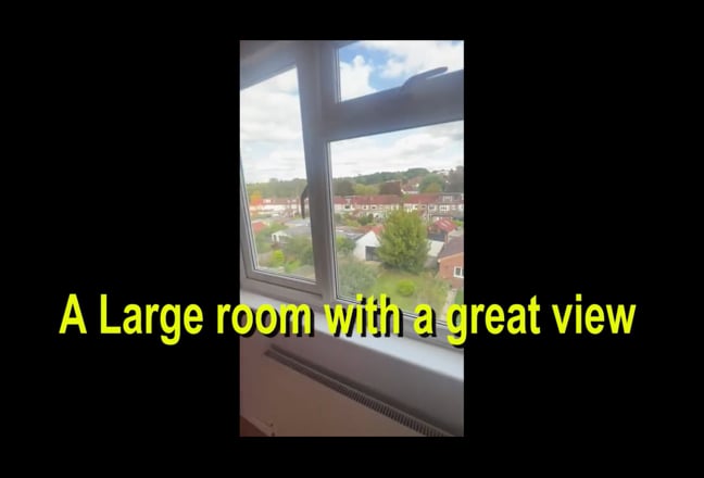 Video 1: