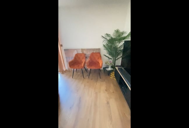 Bright & Spacious bedroom for Rent  Main Photo