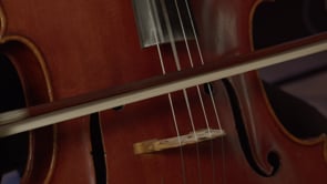 Related Embedded Video Item Thumbnail