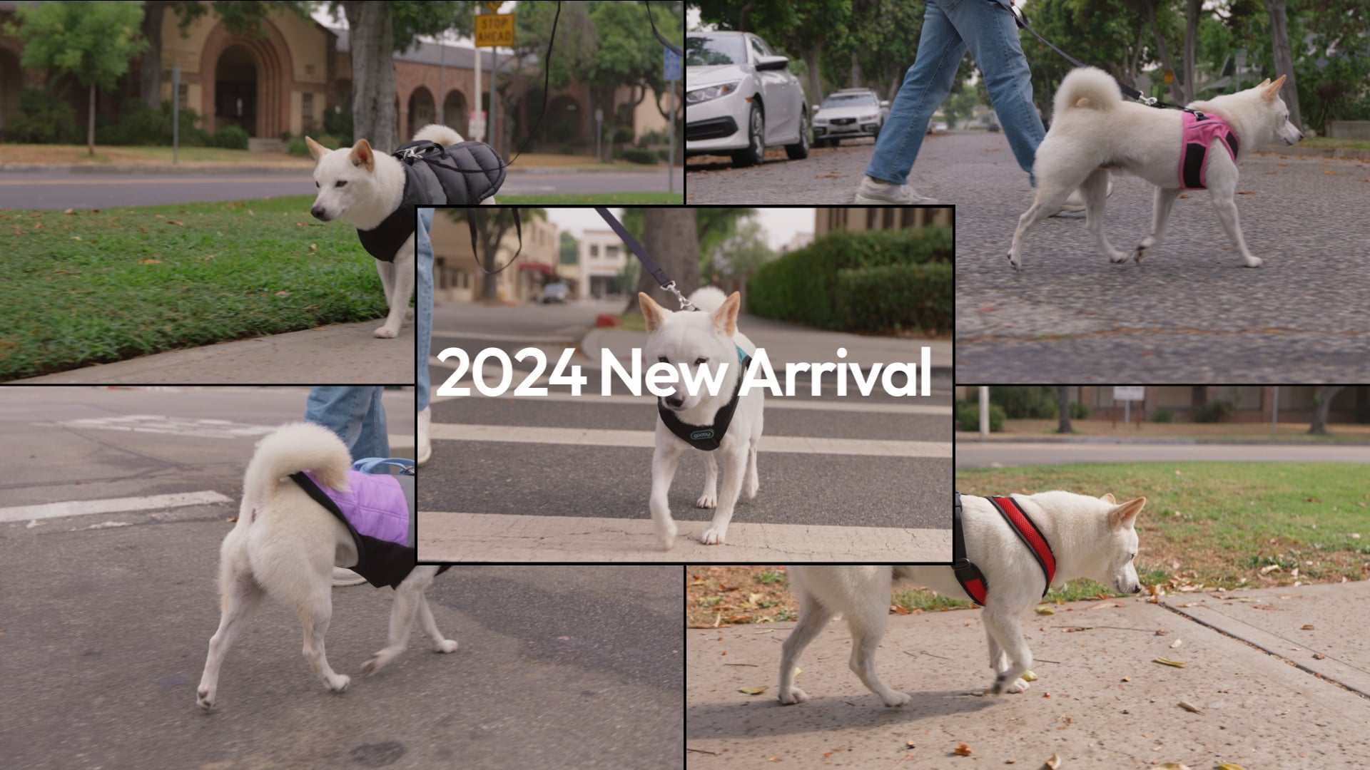 Goobypet - Fall 2024 Product Highlight