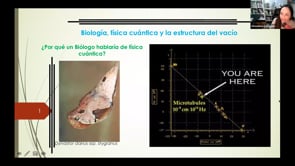 Biología, física cuántica y la estructura del vacío.