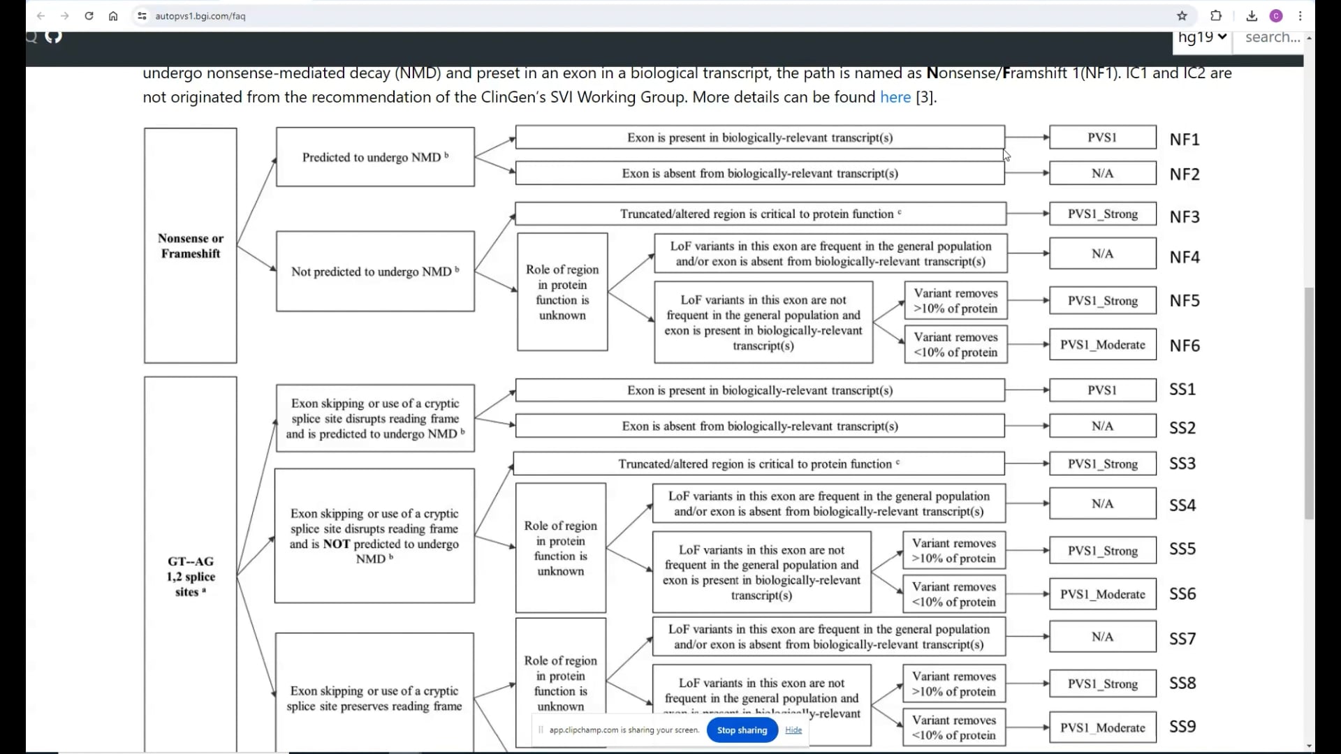 Example use of O2 | Videos & Movies on Vimeo
