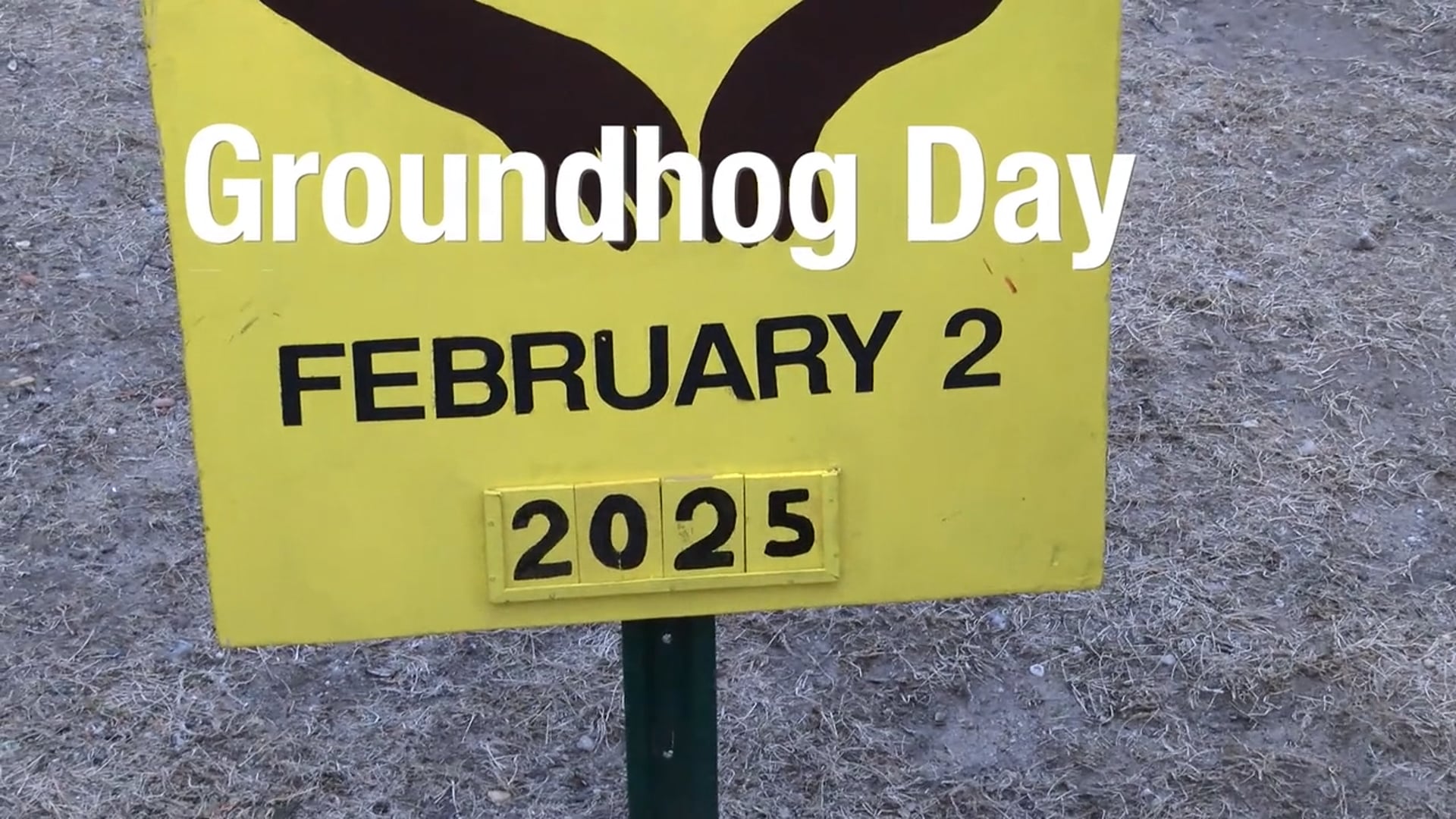 Groundhog Day 2025, Ft. Malverne Mel