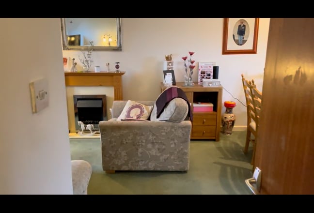 Video 1: Front aspect