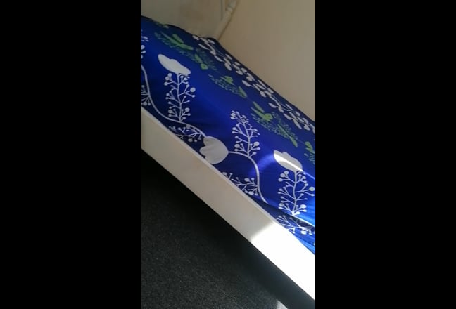 Video 1: