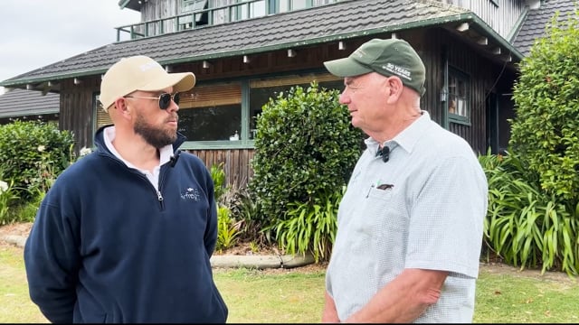 2025 National Yealing Sale | Woodlands Stud