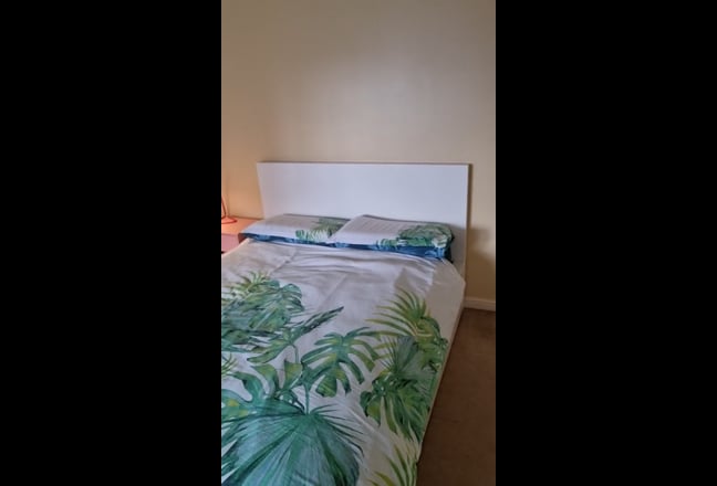 Video 1: