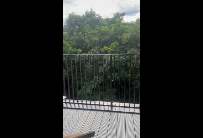 Video 1: 