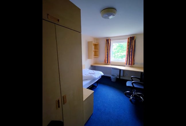 Video 1: Surrondings