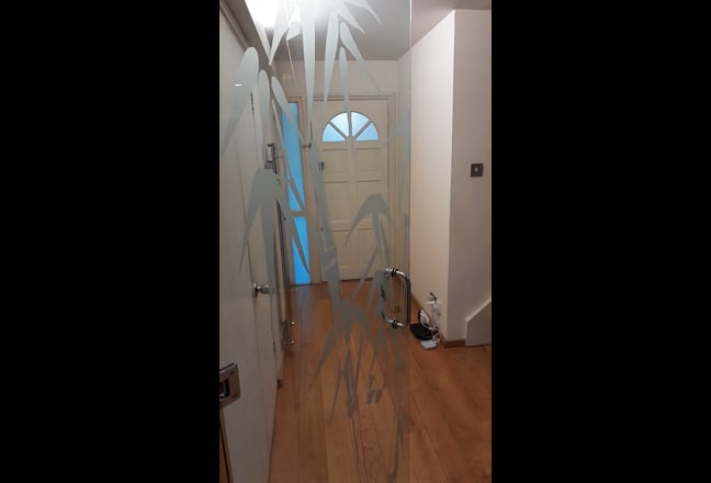 Video 1:
