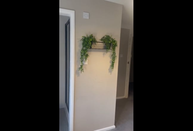 Video 1: