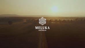 Meluka Honey - Beekeeper