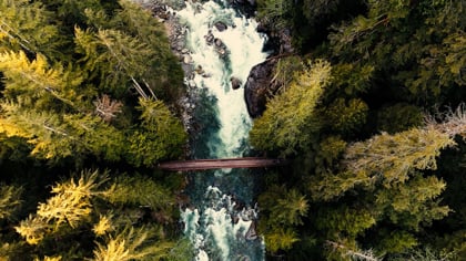 Vimeo video thumbnail