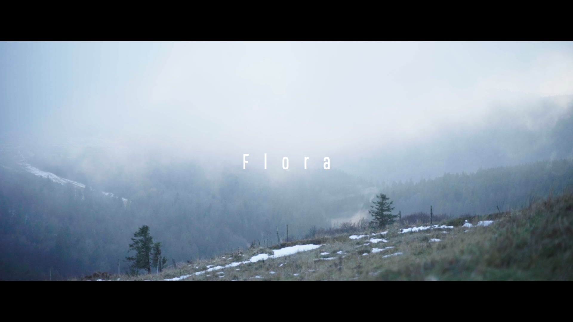 Documentaire