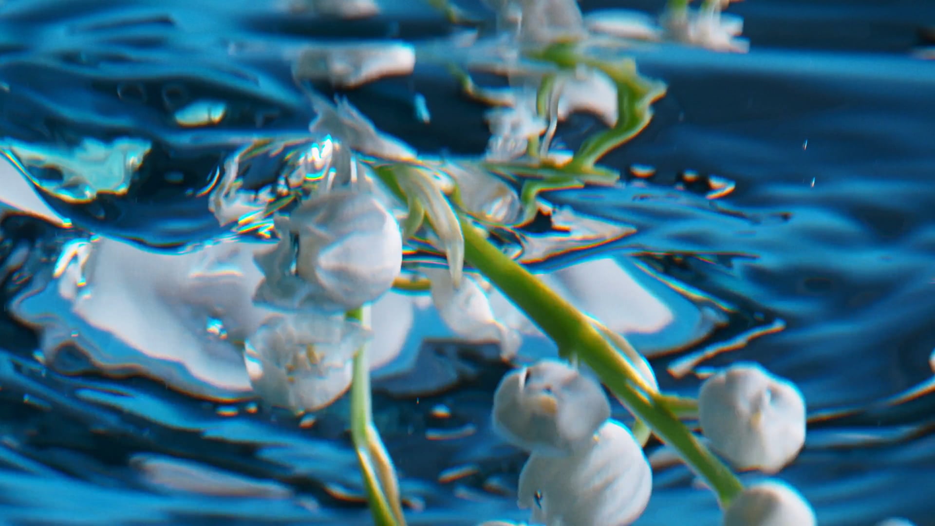COMFORT PHOENIX - TVC (CF) - DIRECTOR CUT