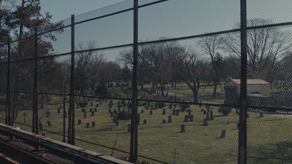 The Bears (2025) by Scott Woods